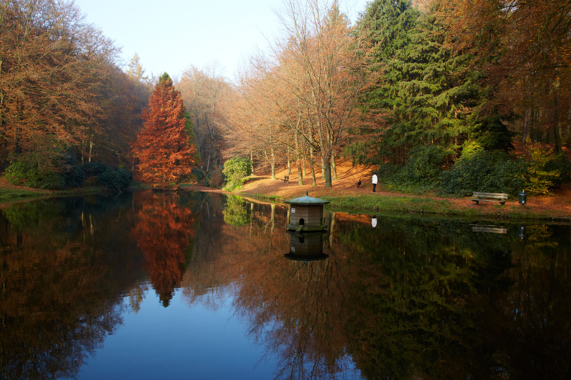 Zonnige herfstdag in de natuur. Op de voorgrond een vijver met een huisje voor eenden.