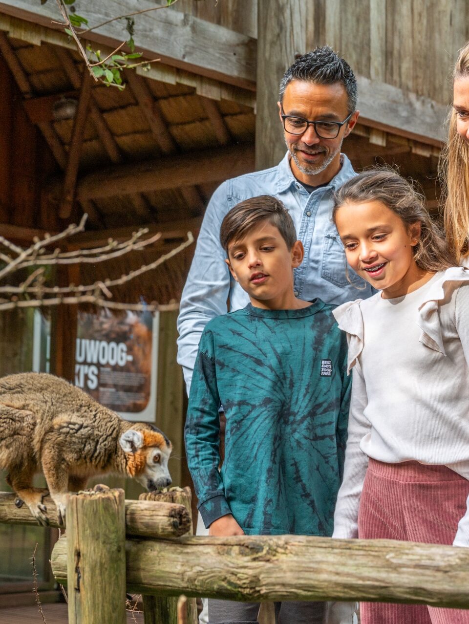 Gezin met twee kinderen bekijkt een loslopende kroonmaki in Apenheul, Apeldoorn