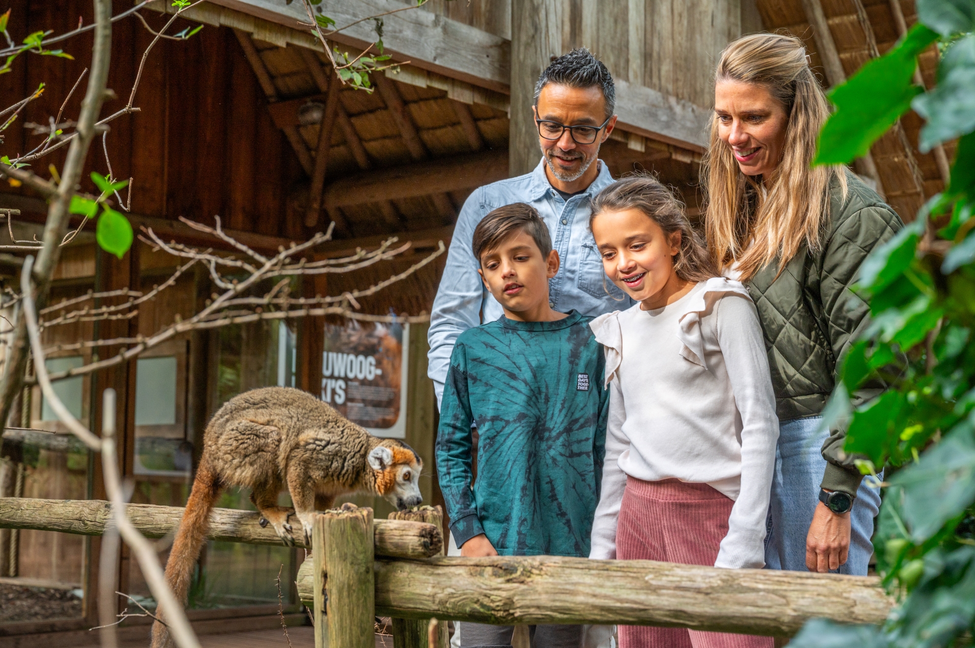 Gezin met twee kinderen bekijkt een loslopende kroonmaki in Apenheul, Apeldoorn