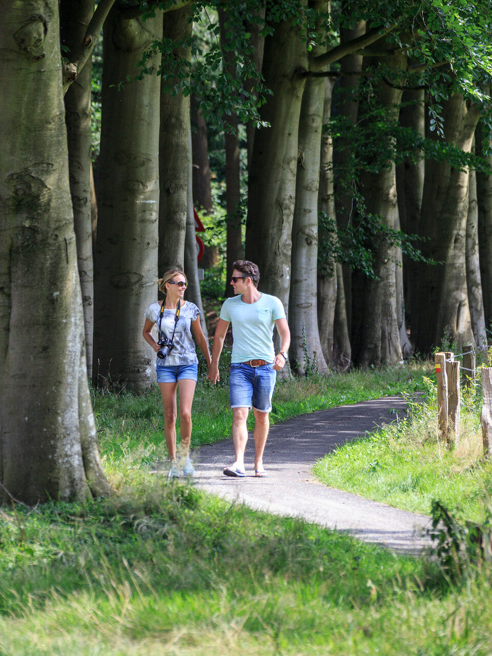 Ehepaar spaziert durch den Wald in Leuvenum