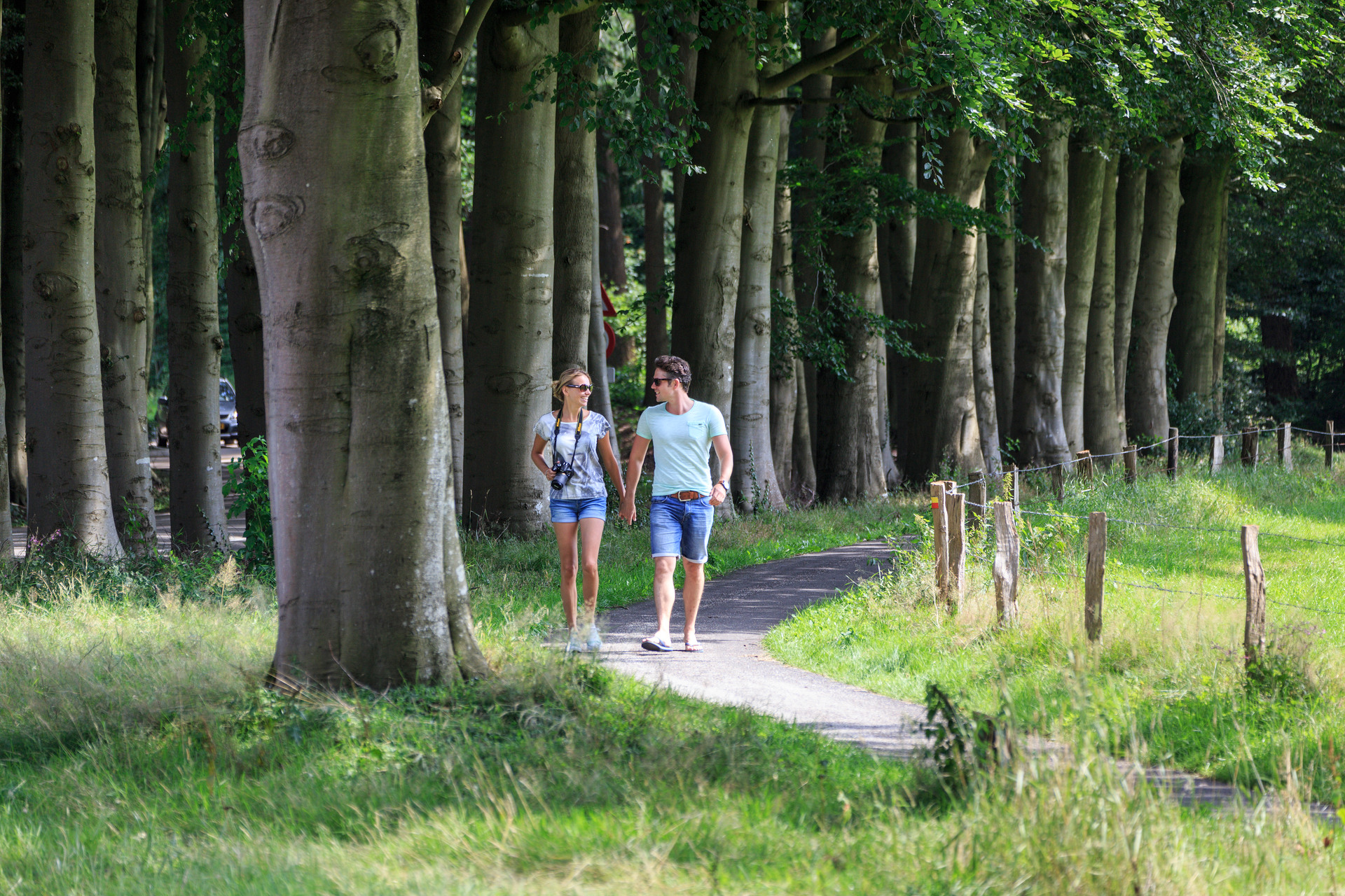 Couple walks through forest in Leuvenum