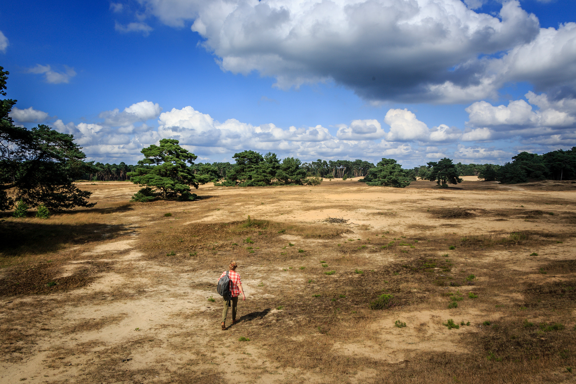 A serene scene of a person walking in a vast field, appreciating the tranquility of nature.