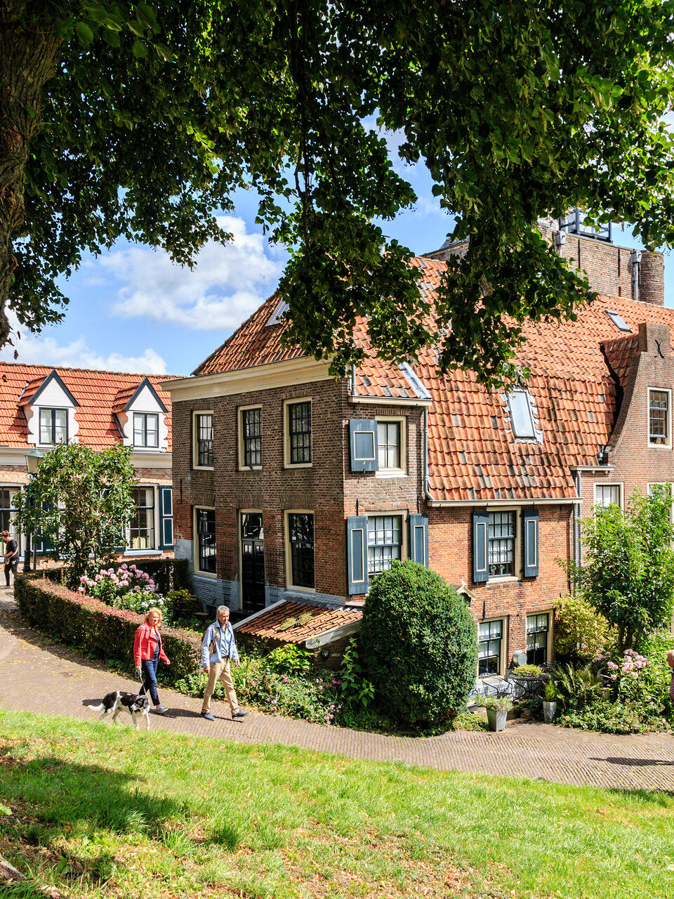 Een schilderachtig uitzicht op Hanzestad Elburg met huizen en bomen.