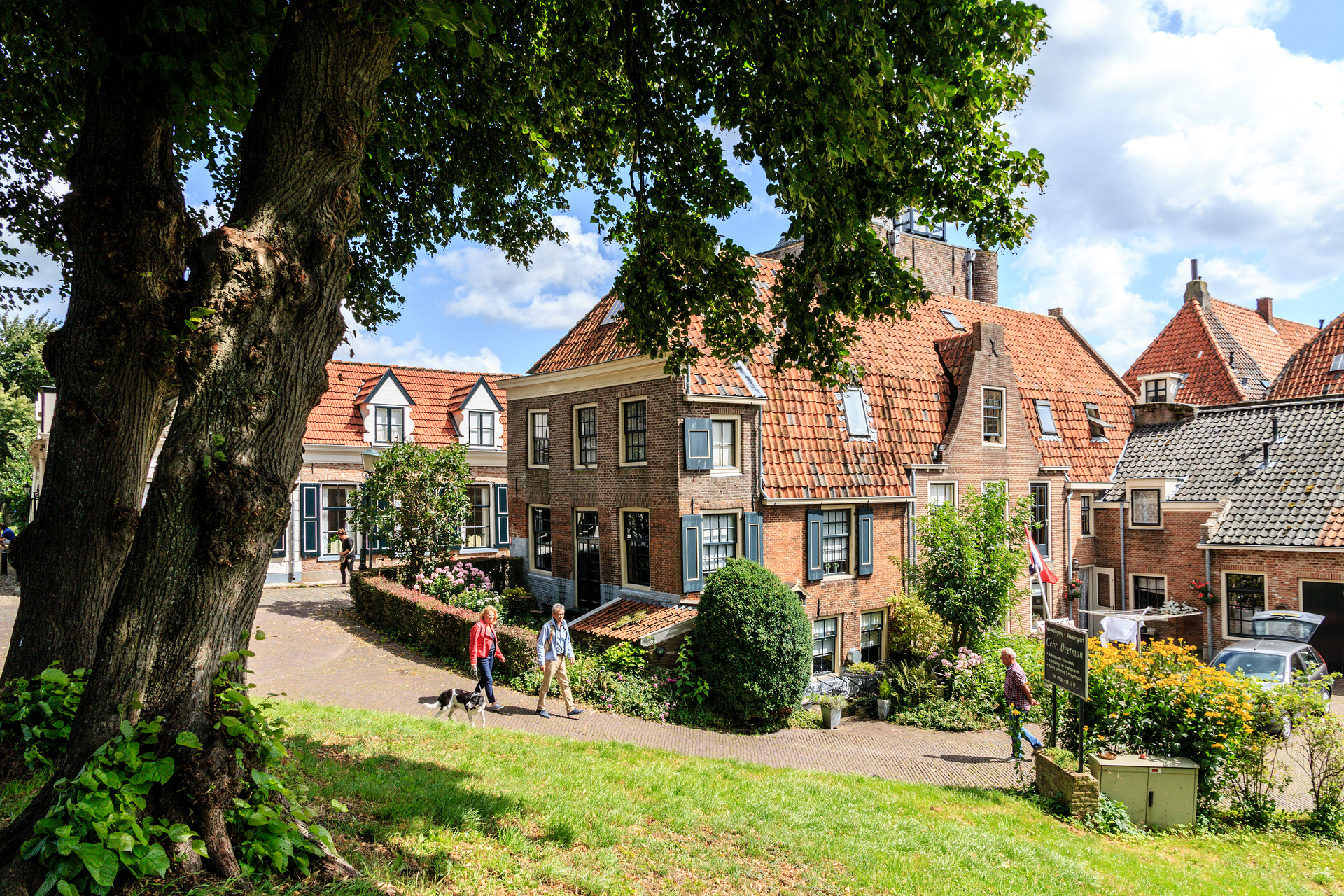 Eine malerische Ansicht der Hansestadt Elburg mit Häusern und Bäumen.