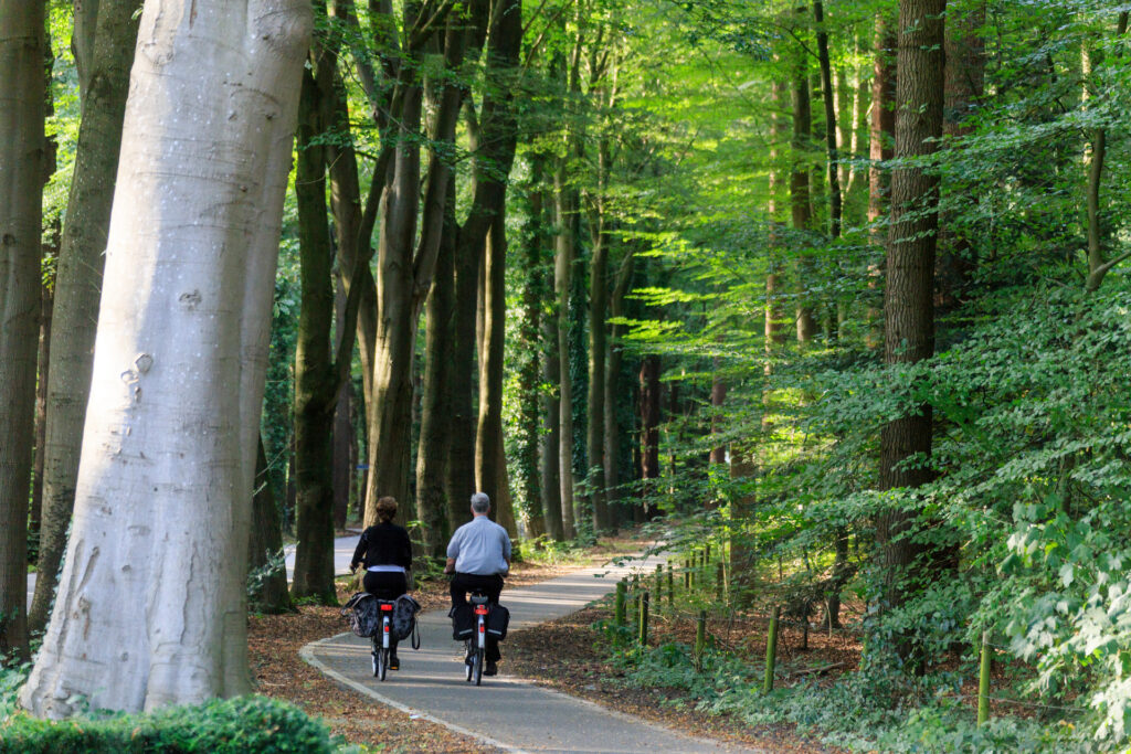 Man en vrouw fietsen op een verhard pad met aan de linkerkant bomen en rechts groene struiken