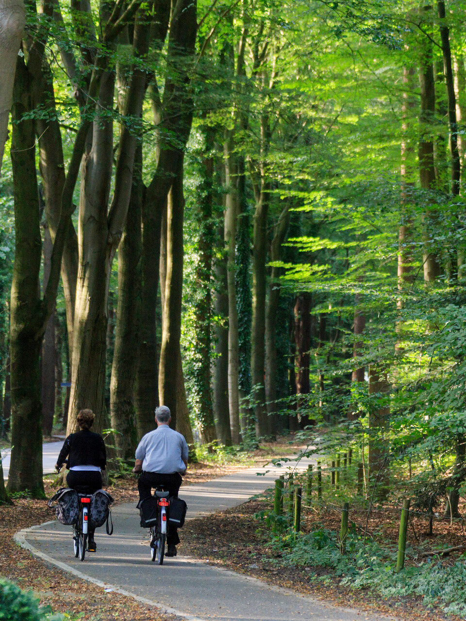 Man en vrouw fietsen op een verhard pad met aan de linkerkant bomen en rechts groene struiken