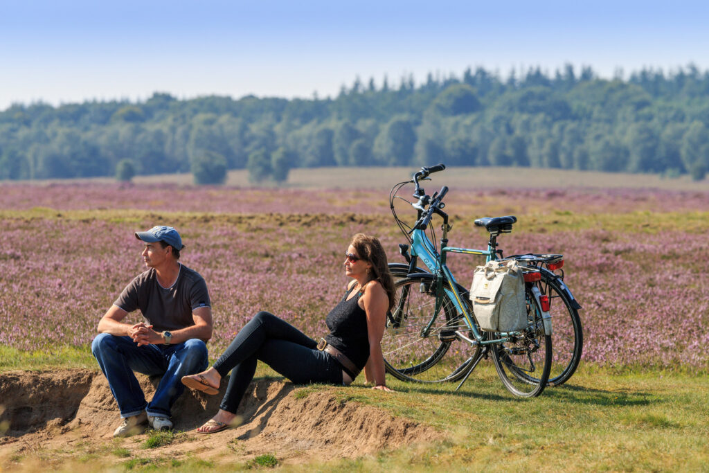 Fietsers rusten uit op de Ginkelse Heide