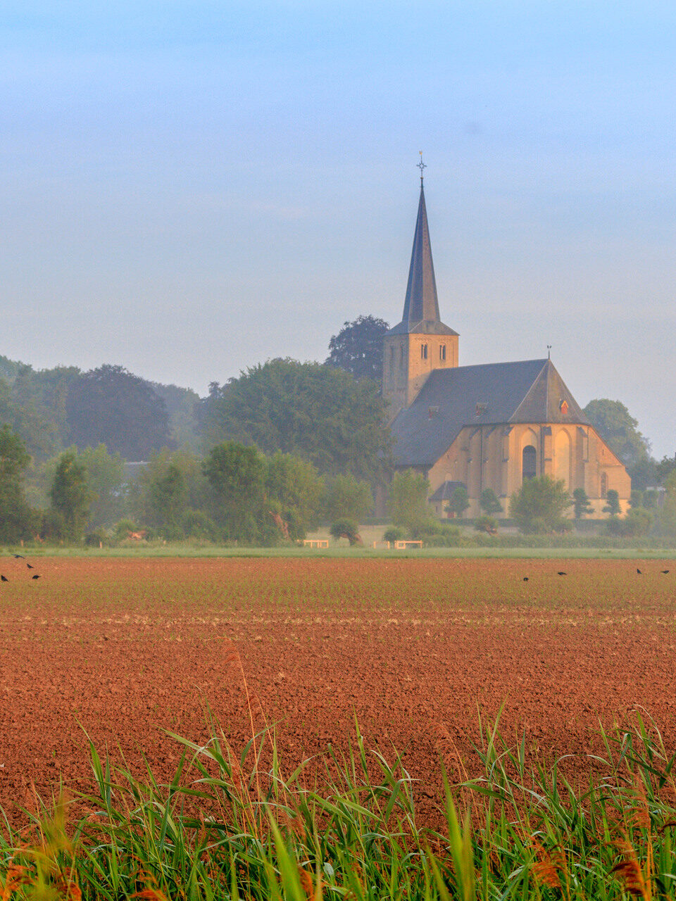 Kerk in het landschap van Voorst