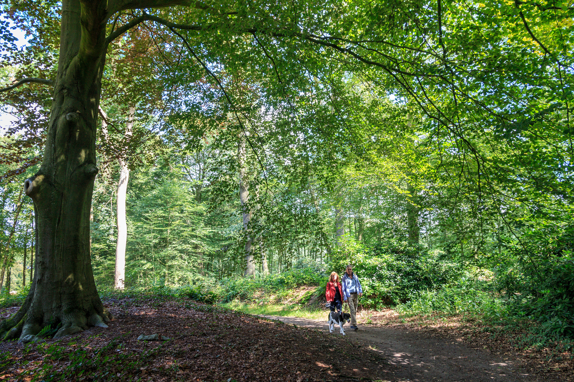 Twee mensen wandelend in het bos van Elburg