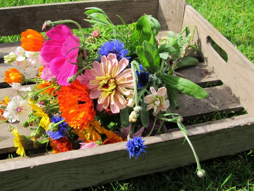 Kleurrijke bloemen op een houten kistje.