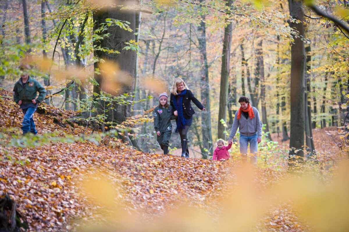 Gezin met drie kleine kinderen lopen in het bos in de herfst