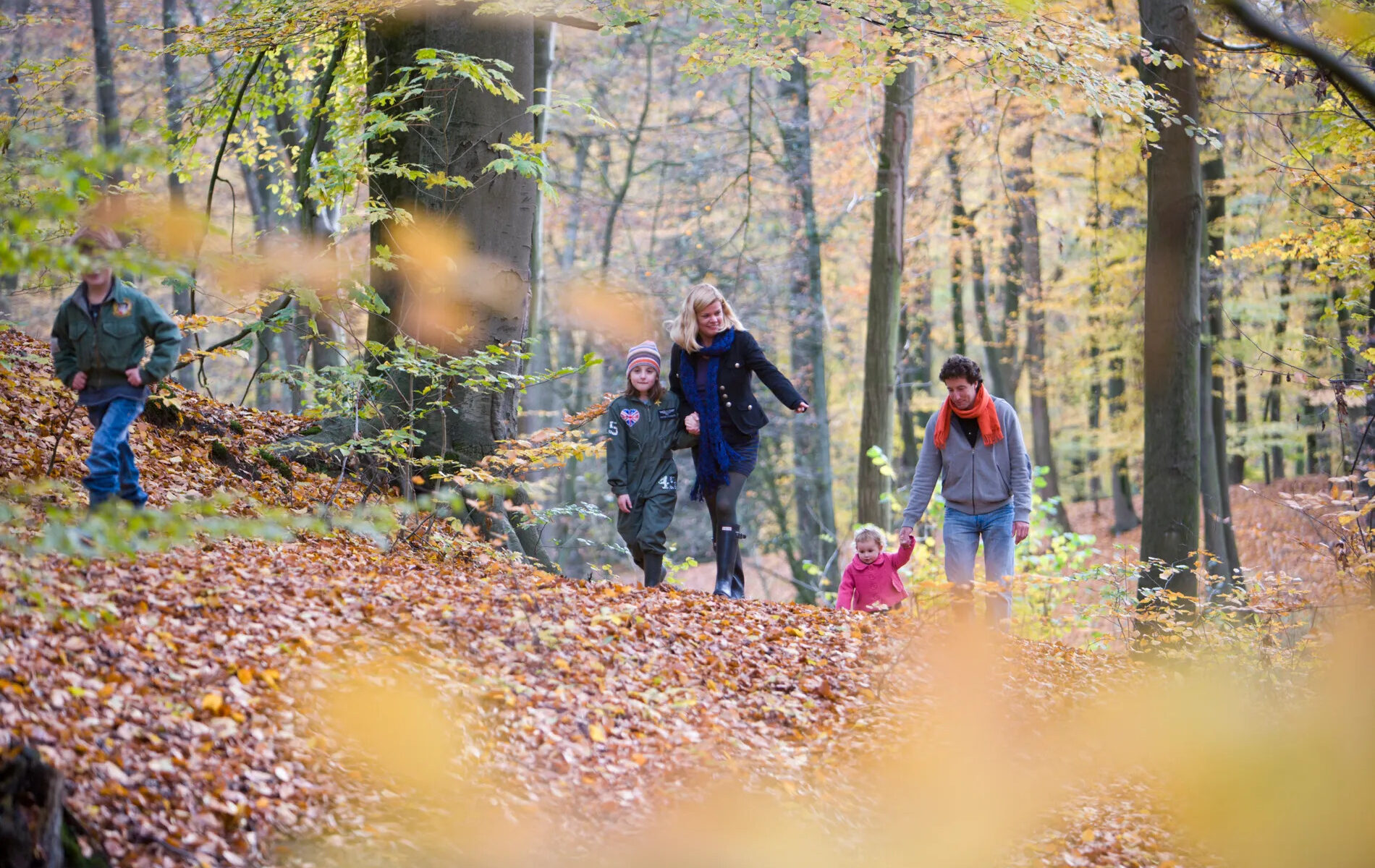 Gezin met drie kleine kinderen lopen in het bos in de herfst