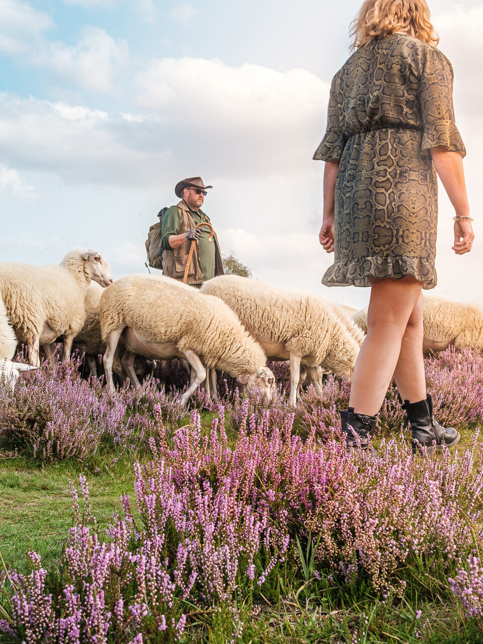 Wandelaars en schapenherder met schapen op de Ermelose Heide