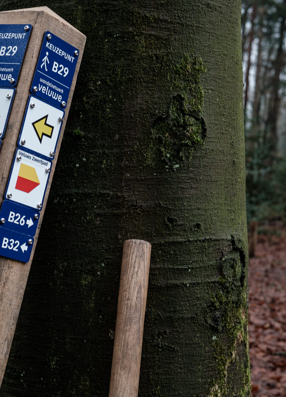 routepaaltje van wandelnetwerk bij een boom