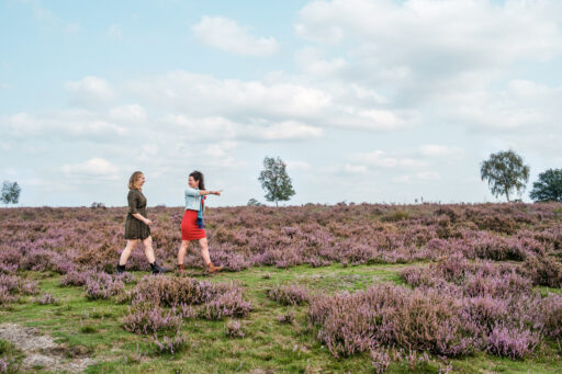 Wandelaars op de Ermelose Heide