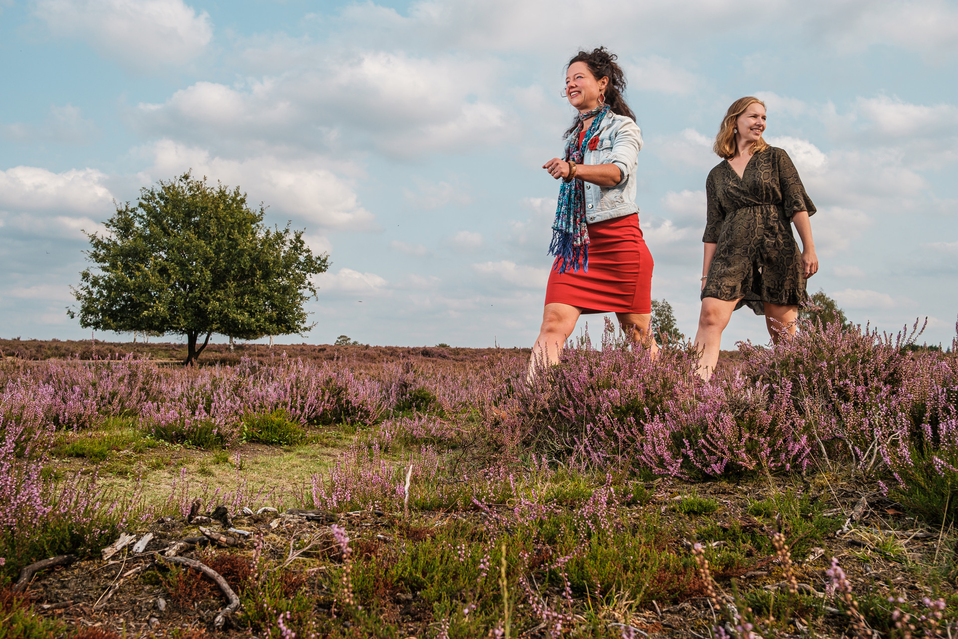 Wandelaars op de Ermelose Heide