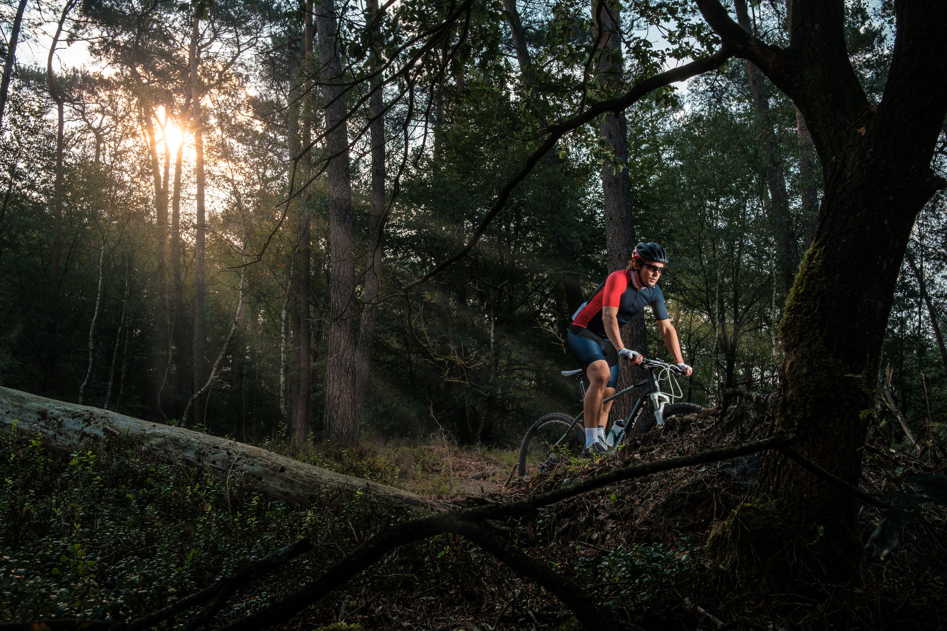 Mountainbiker in het bos met zonlicht