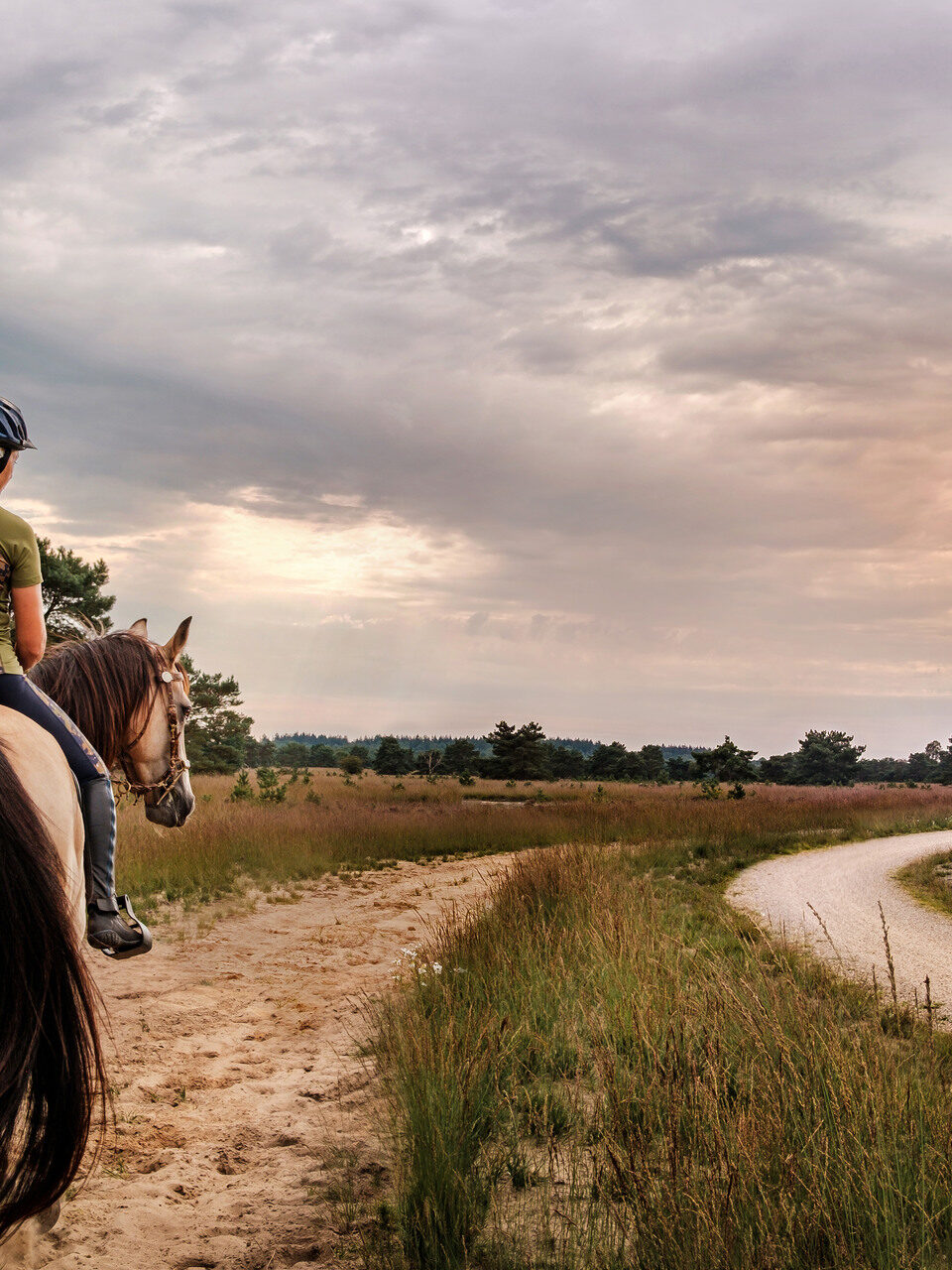 Een persoon rijdt te paard over een zandweg op de Ermelose Heide