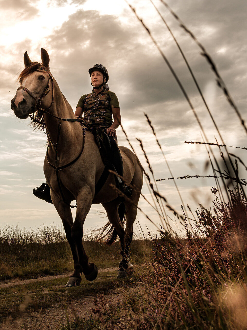 Paardrijden op de Ermelose Heide