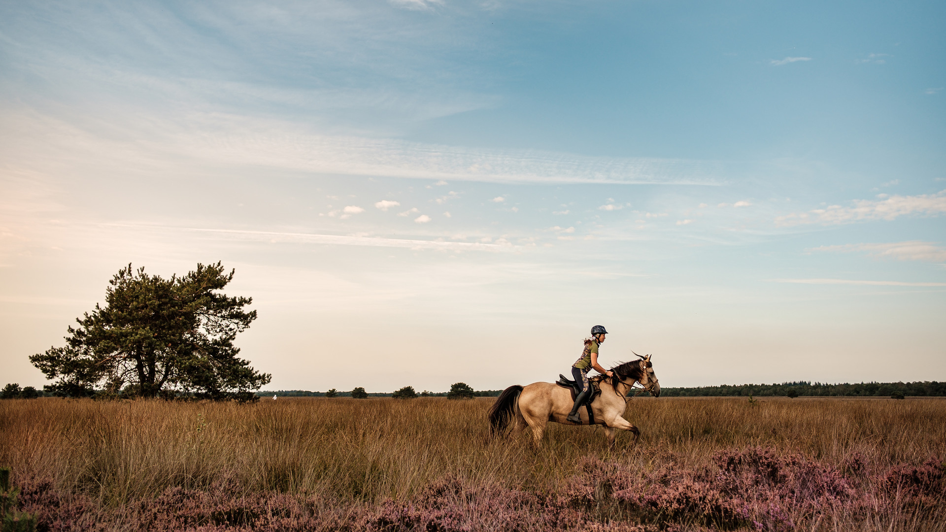 Paardrijden op de Ermelose Heide