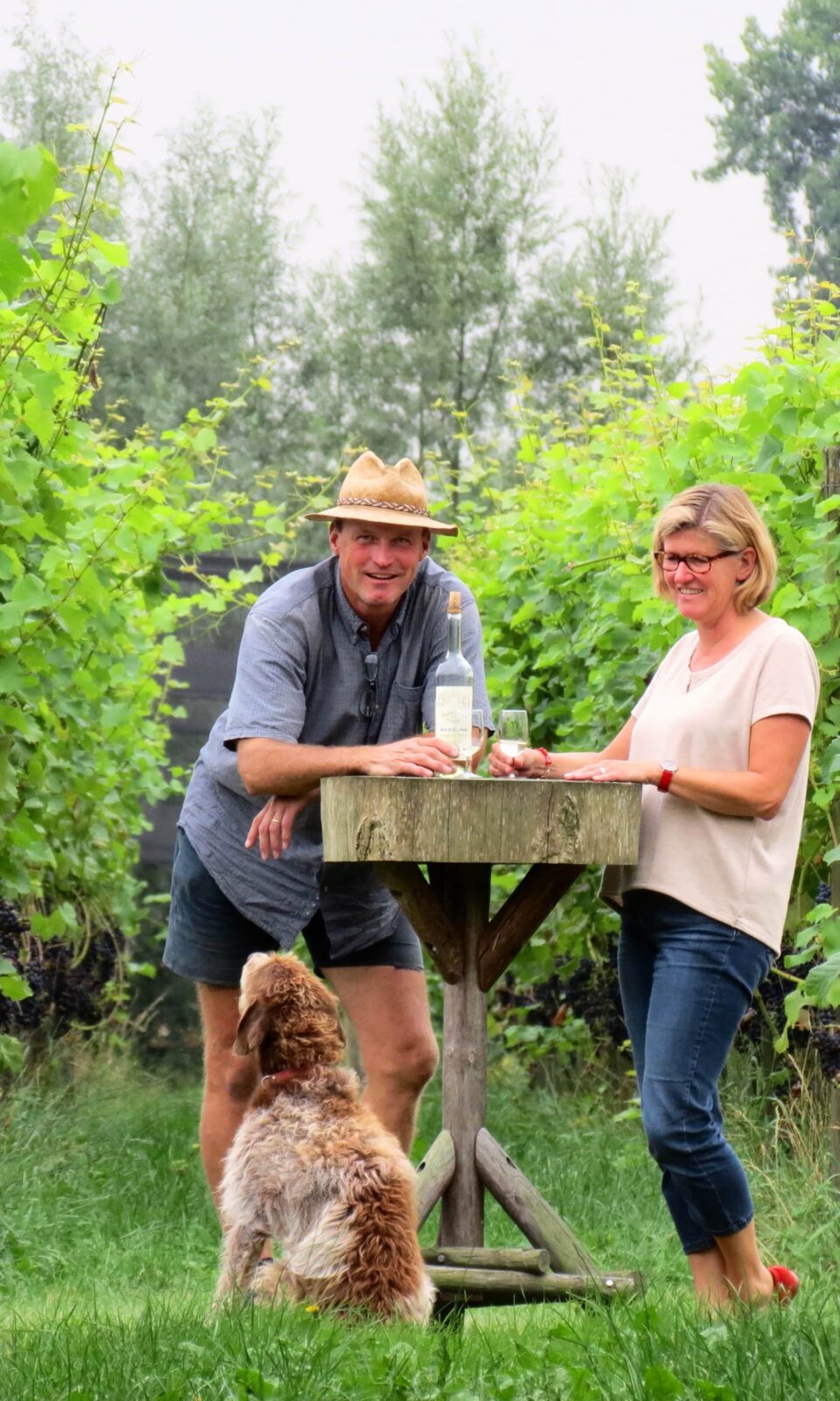 Mensen in wijngaard bij Hof te Dieren in Dieren