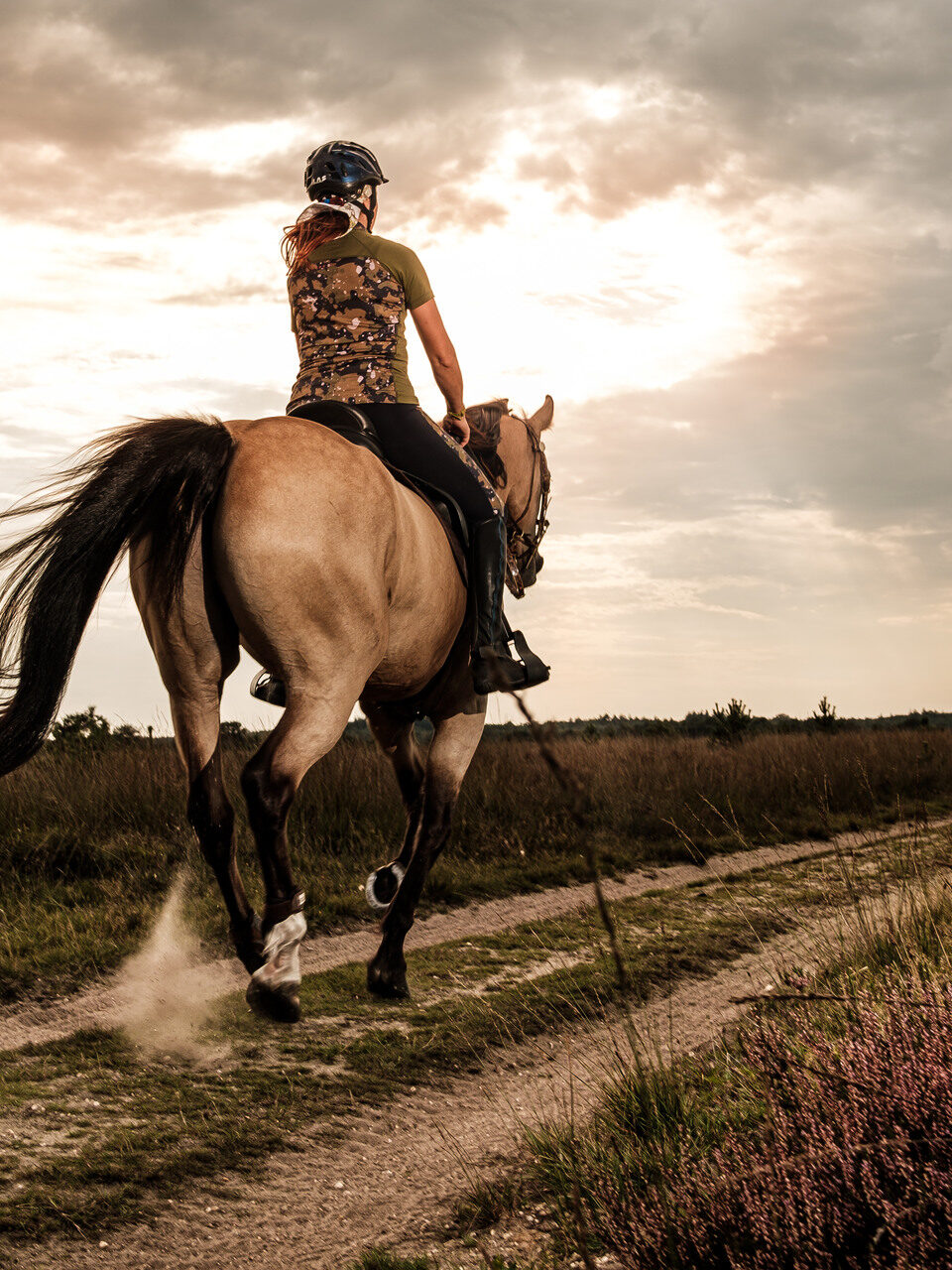 Paardrijden op de Ermelose Heide