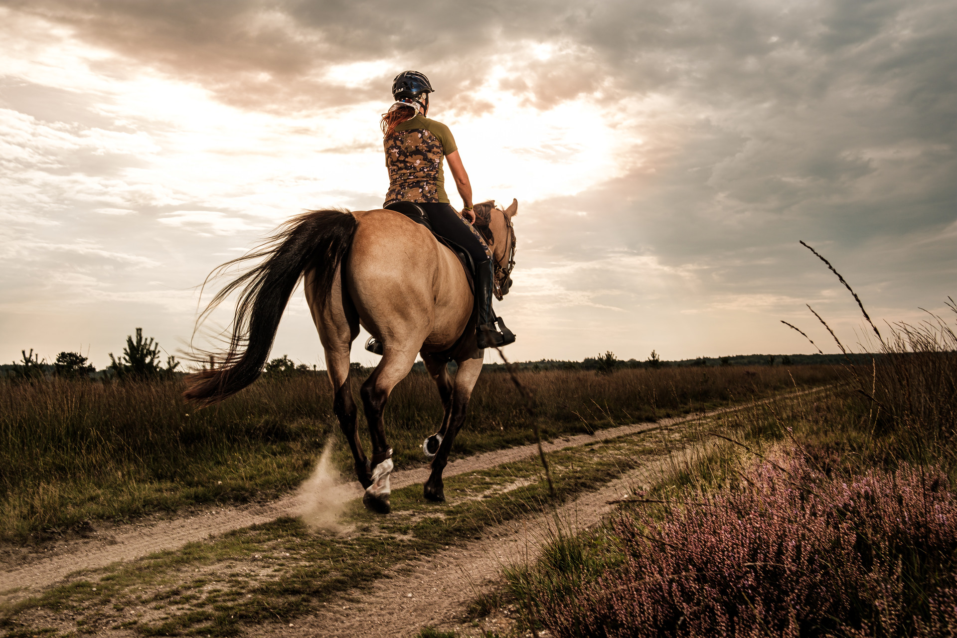 Paardrijden op de Ermelose Heide