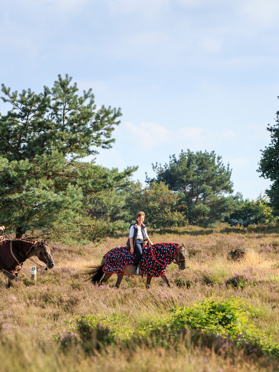 Twee ruiters over de heide