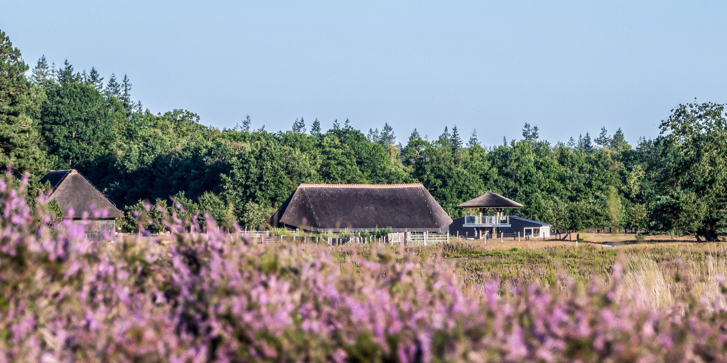 3 gebouwen van de schaapskooi tussen de heide in Heerde bij de Renderklippen.