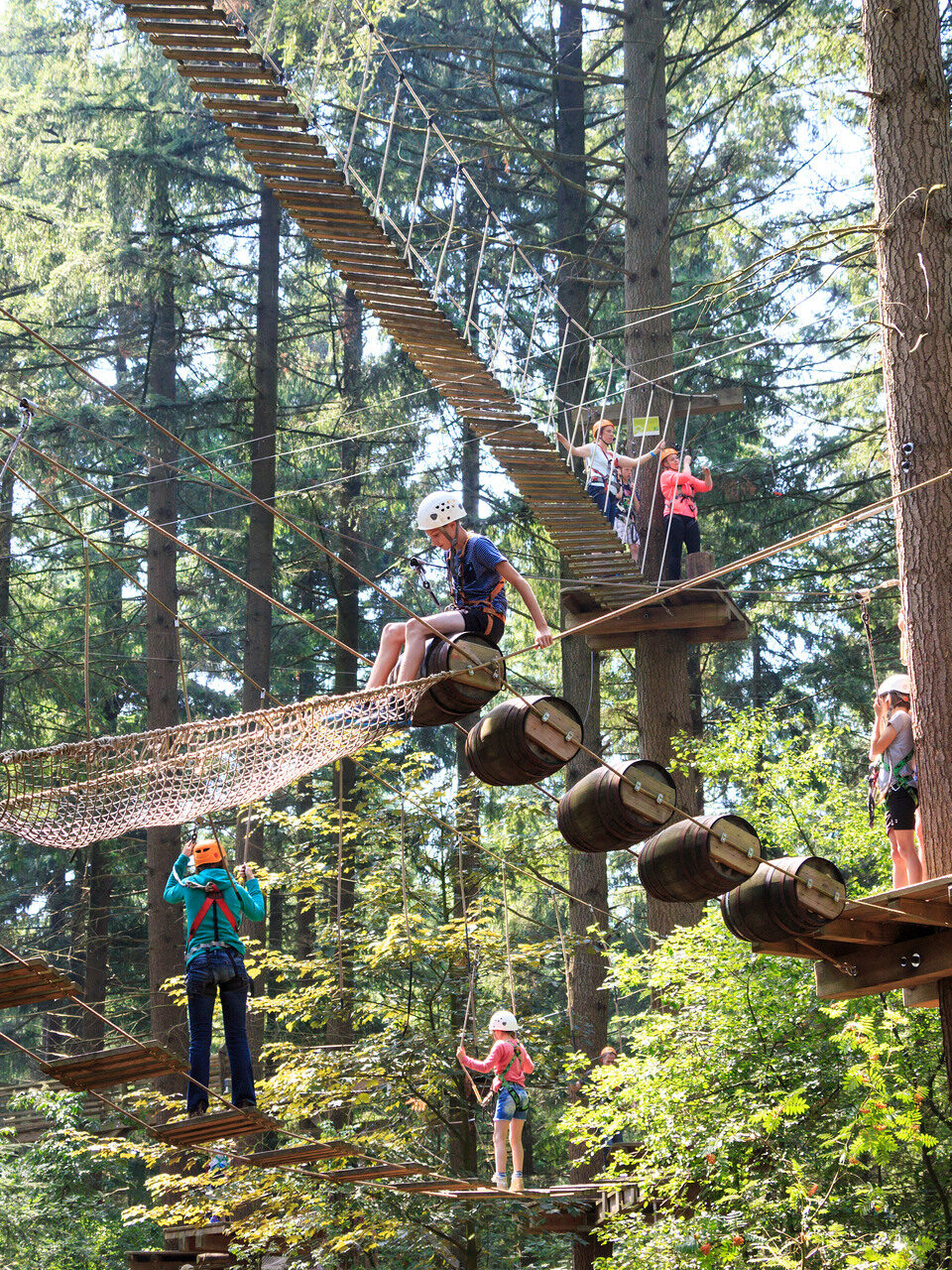 Een groep mensen klimt in Klimbos Garderen op de Veluwe