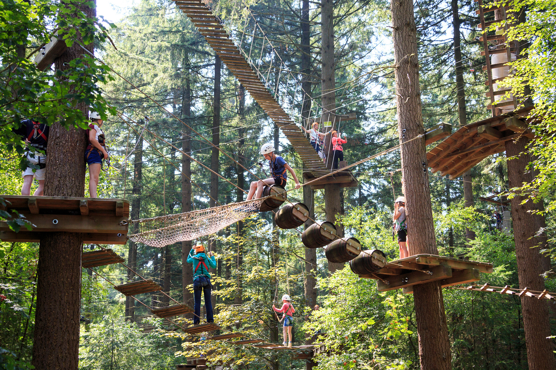 Een groep mensen klimt in Klimbos Garderen op de Veluwe