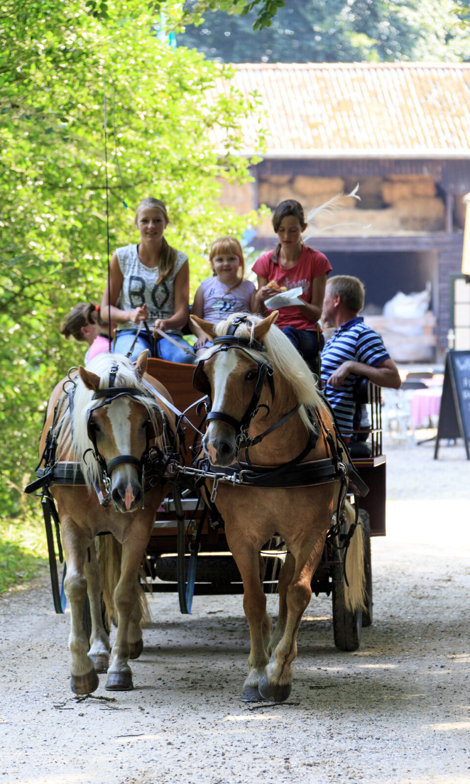 Kinderen op een huifkar met twee paarden