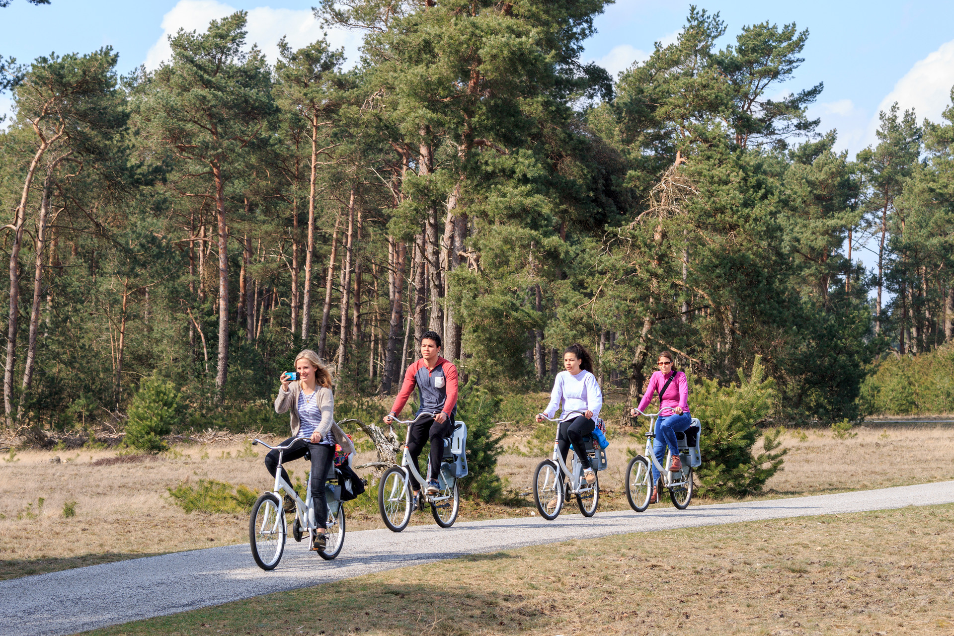 Een groep mensen fietst samen door de Veluwe.