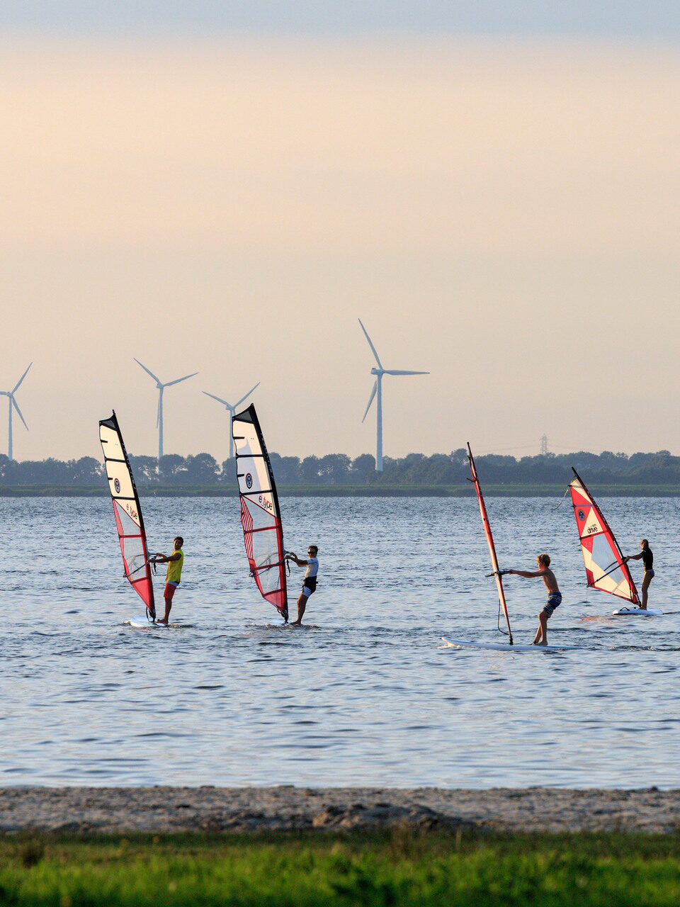 A group of windsurfers on the waters of Strand Nulde in the municipality of Putten in the Veluwe region.