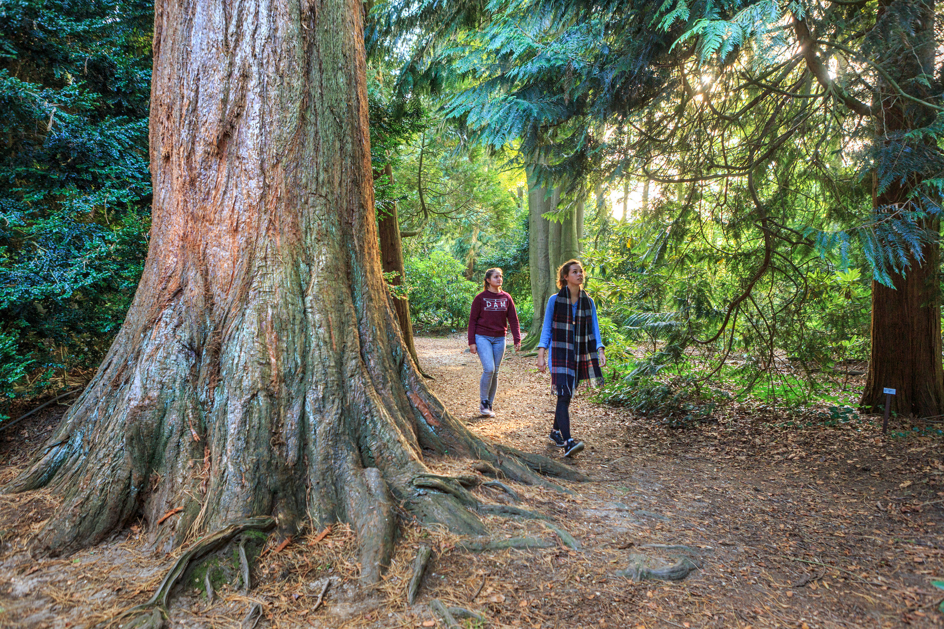 Twee mensen wandelen in de natuur bij Landgoed Schovenhorst in Putten.