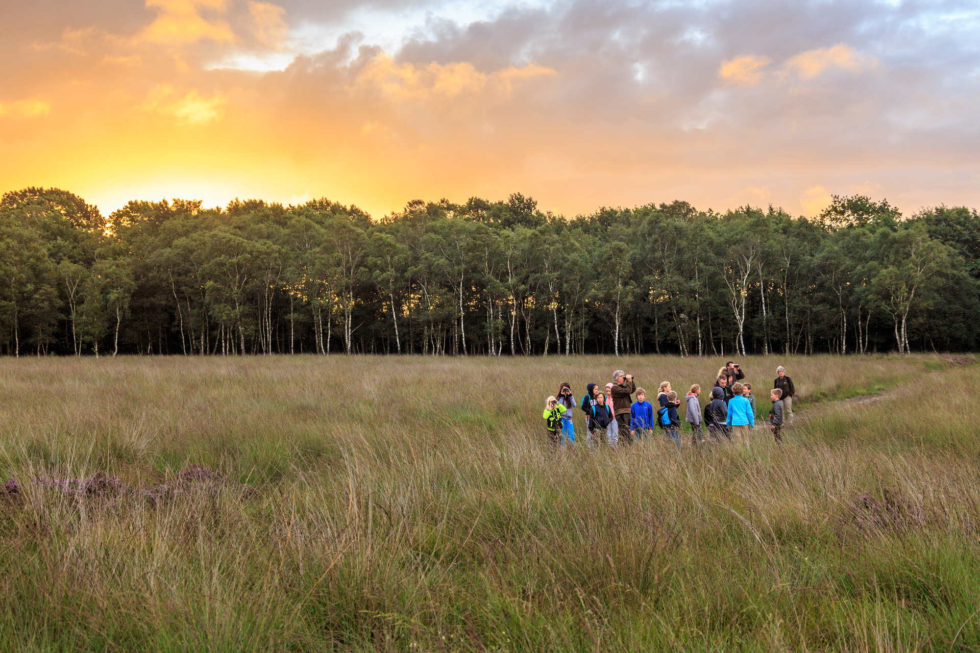 Kinderen op nachtexpeditie in Nationaal Park De Hoge Veluwe.