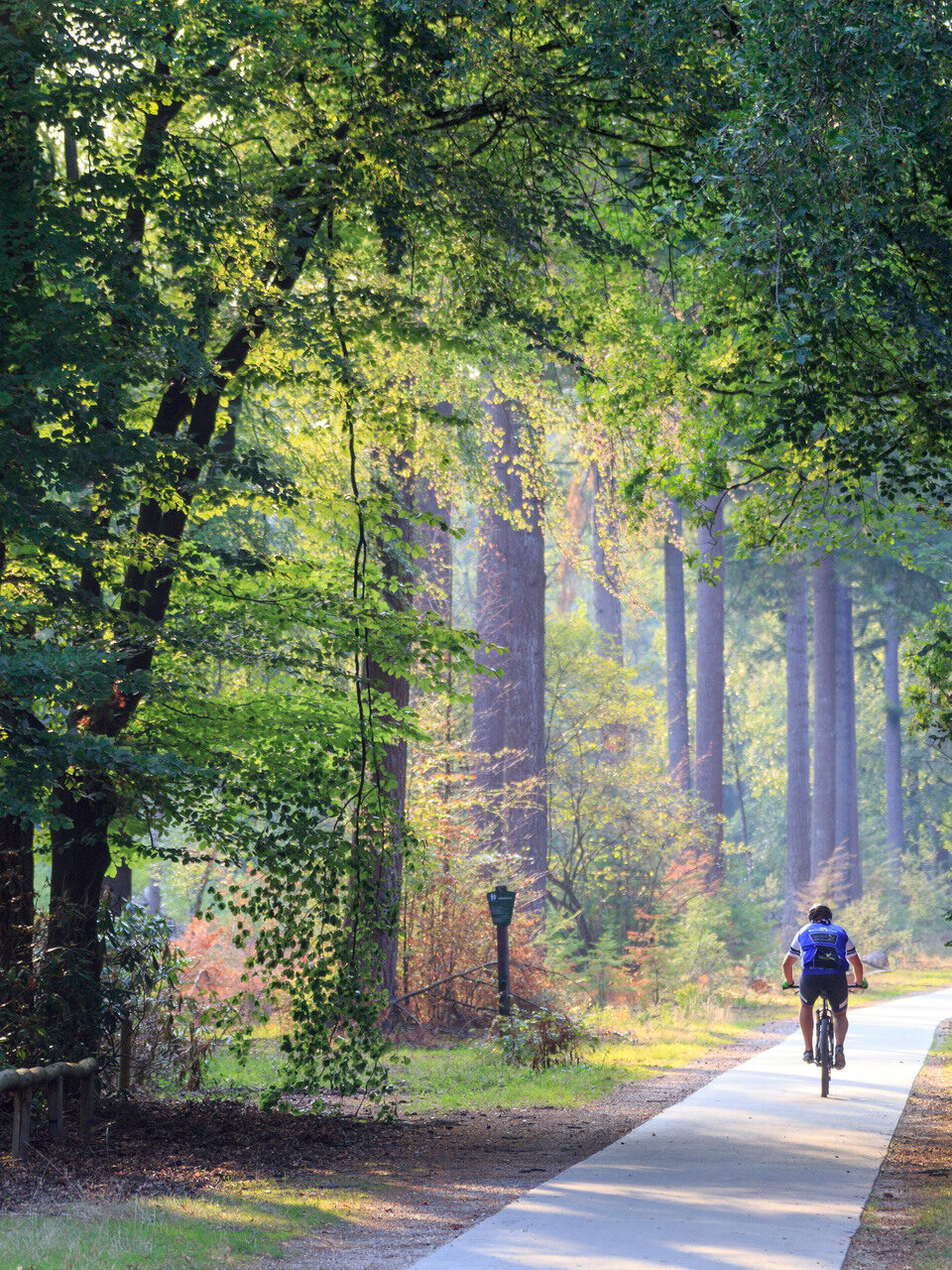 Man fiets in bos op een mountainbike