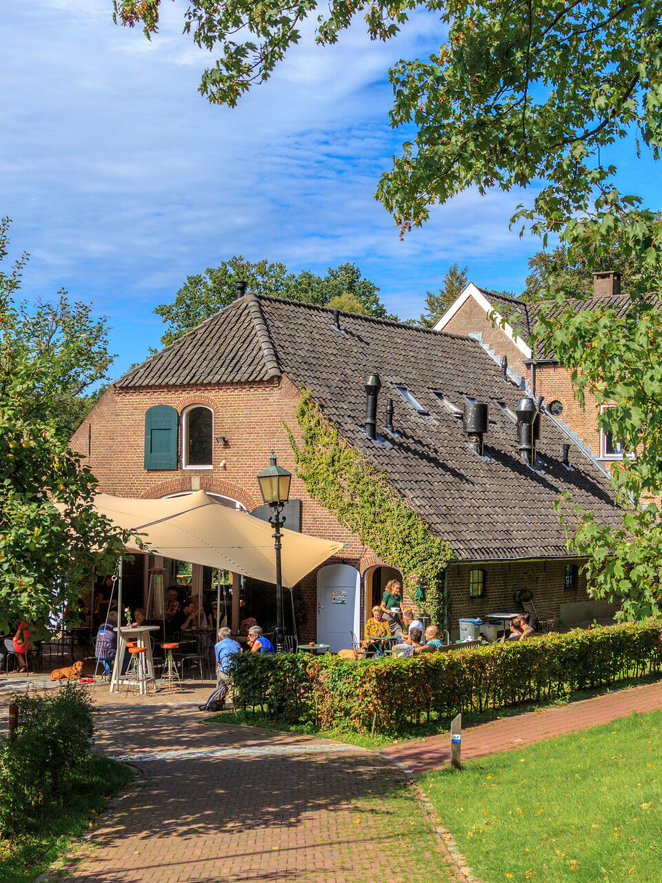 Een zonnig terras in het Renkums Beekdal bij Boscafé de Beken.