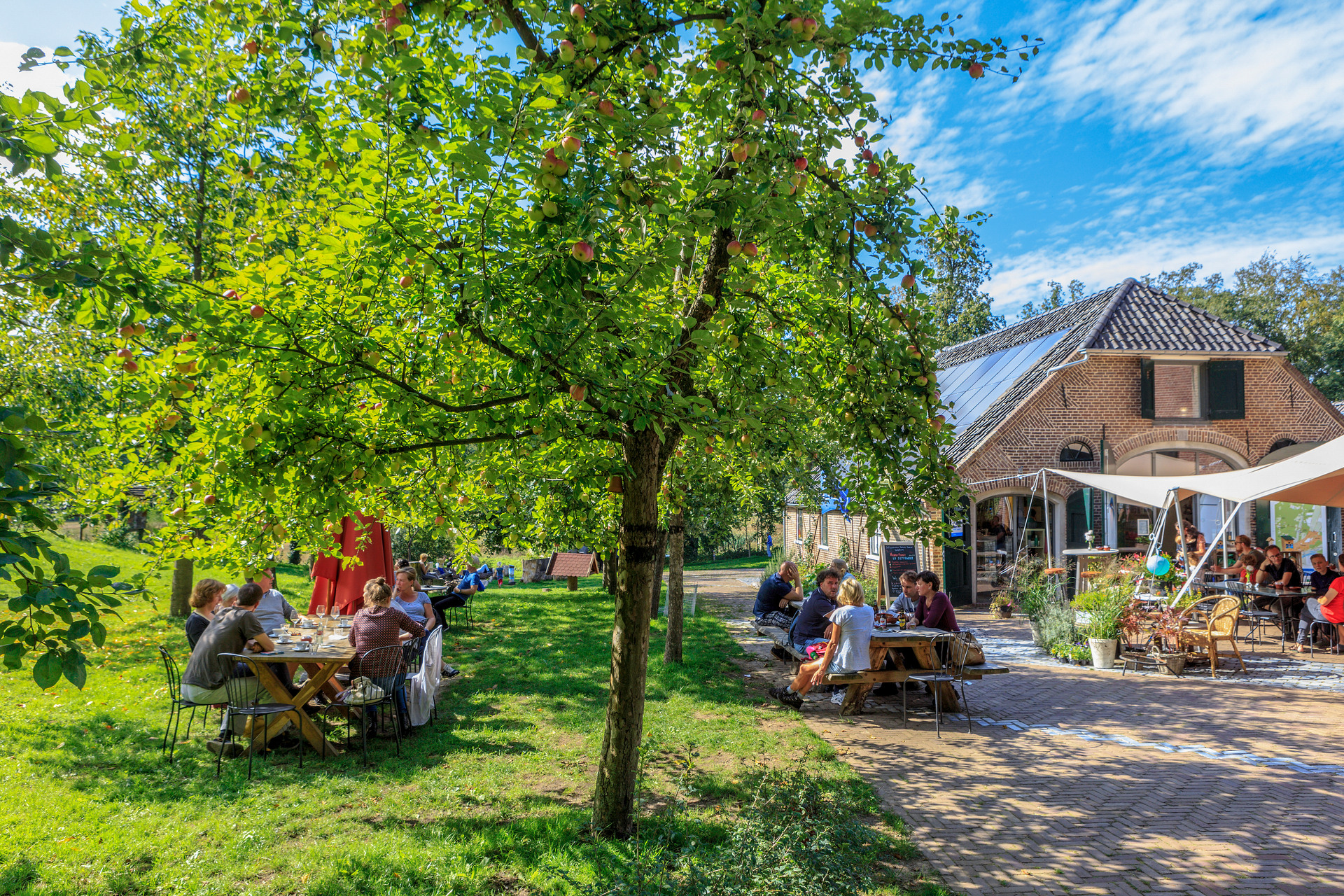 Een zonnig terras van Boscafé de Beken in het Renkums Beekdal.