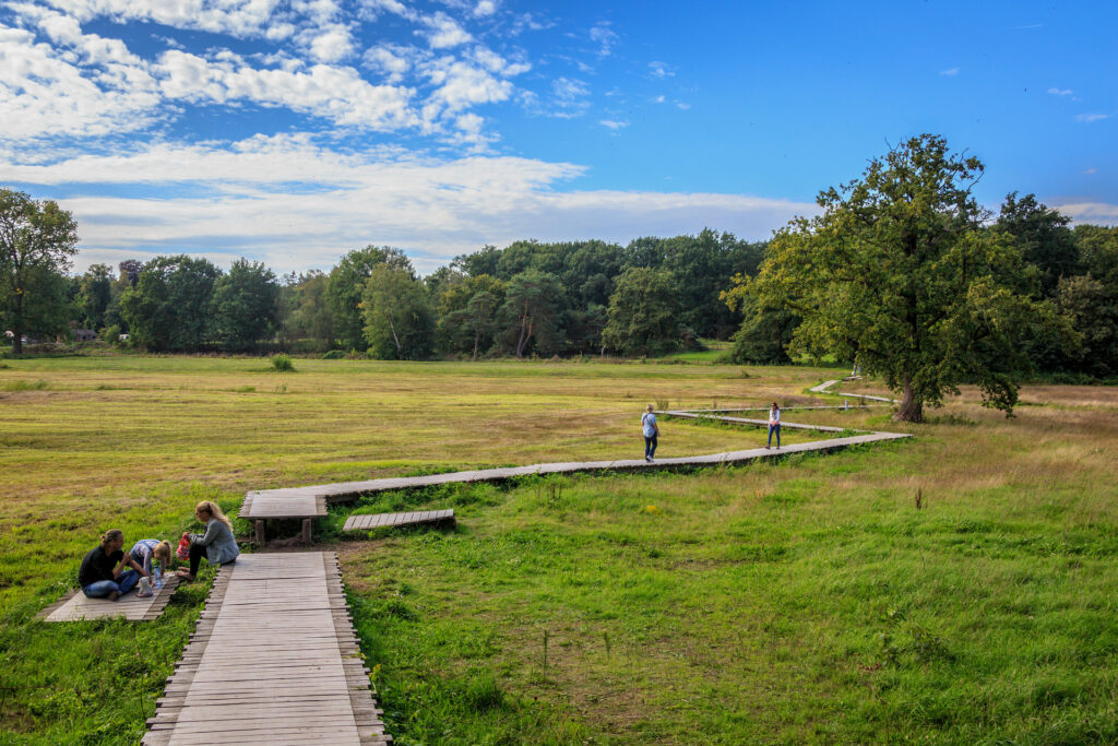 Mensen die wandelen over het vlonderpad bij het Renkums Beekdal