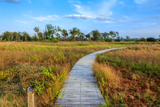 Deckwalk Empese en Tondense heathland