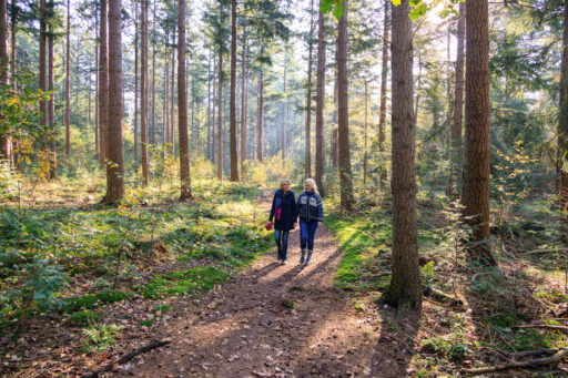 Twee vrouwen die arm in arm wandelen door het Luntersche Buurtbos