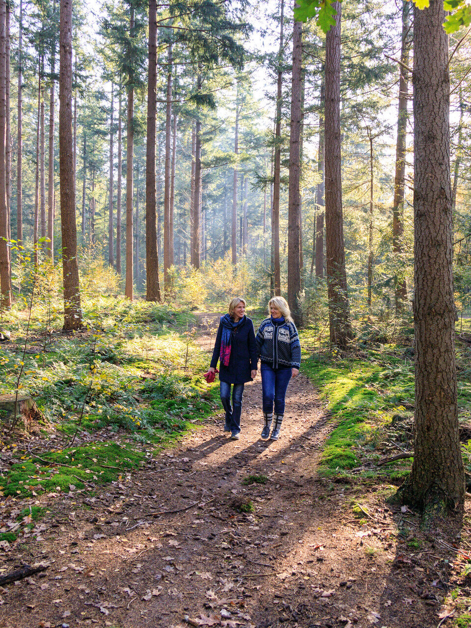 Twee vrouwen die arm in arm wandelen door het Luntersche Buurtbos