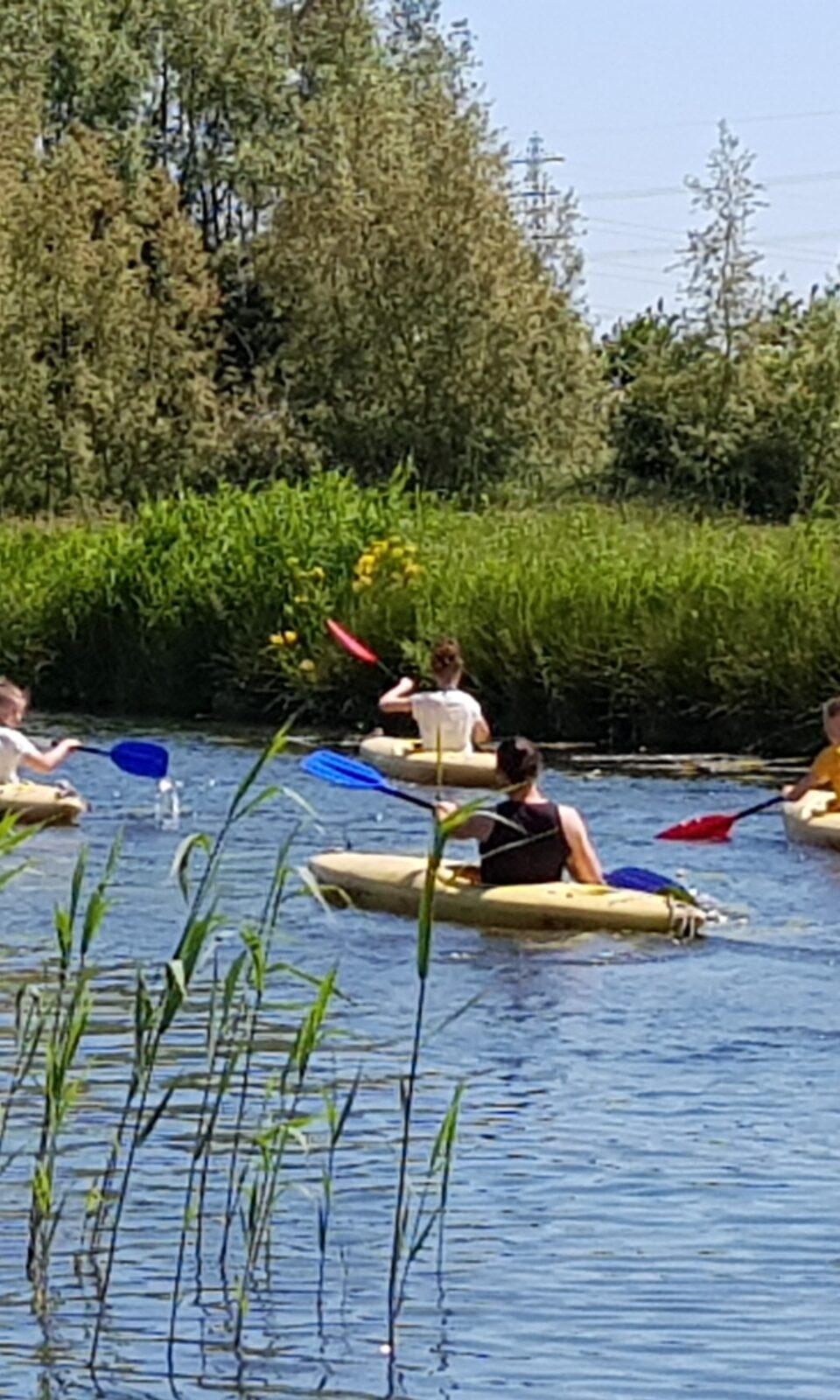 Kanoërs op het kanaal bij Wapenveld en Rees.