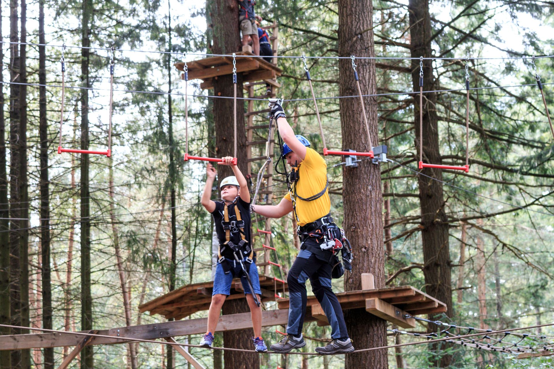 Abenteuerliche Kletterer auf Seilen im Kletterwald