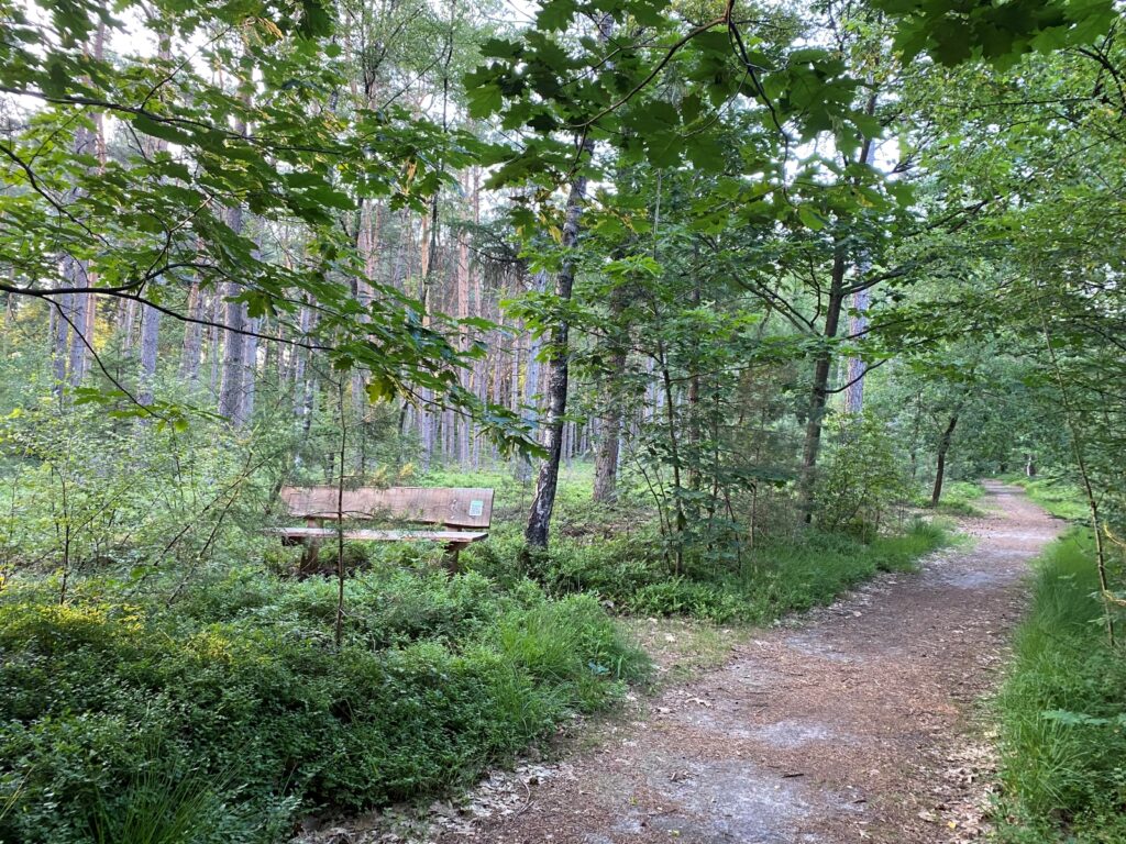 Luisterbankje in het bos langs het Horsthoekerpad in De Dellen.