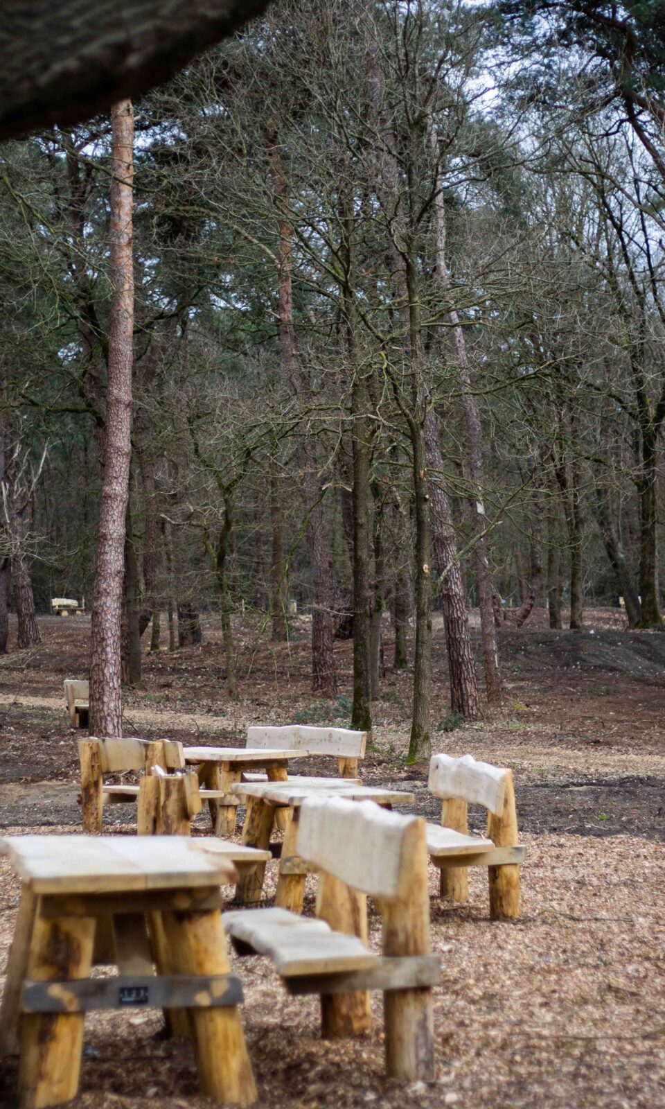 Houten bankjes en tafels in het bos