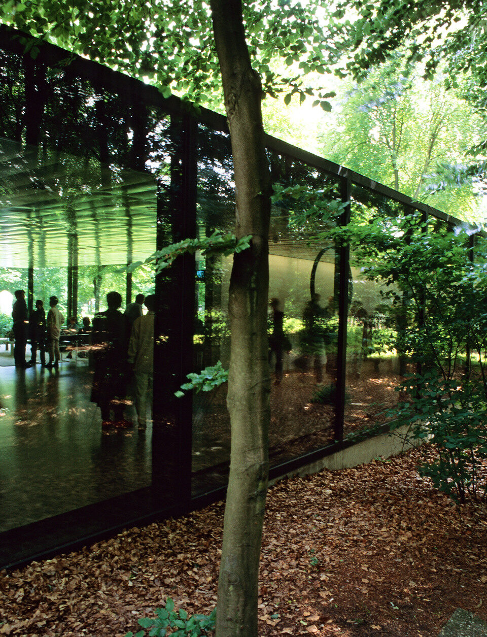 Een glazen expositie-gebouw midden in het bos