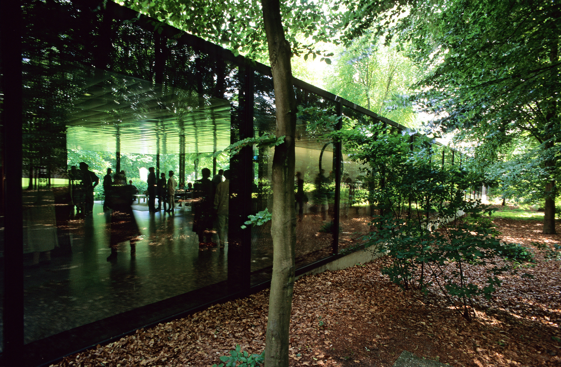 Een glazen expositie-gebouw midden in het bos