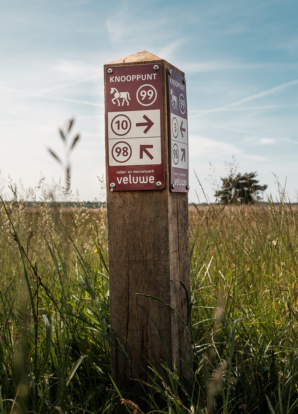 routepaaltje met bewegwijzering in veld met blauwe lucht